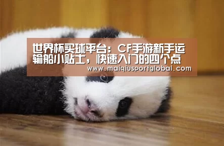 世界杯买球