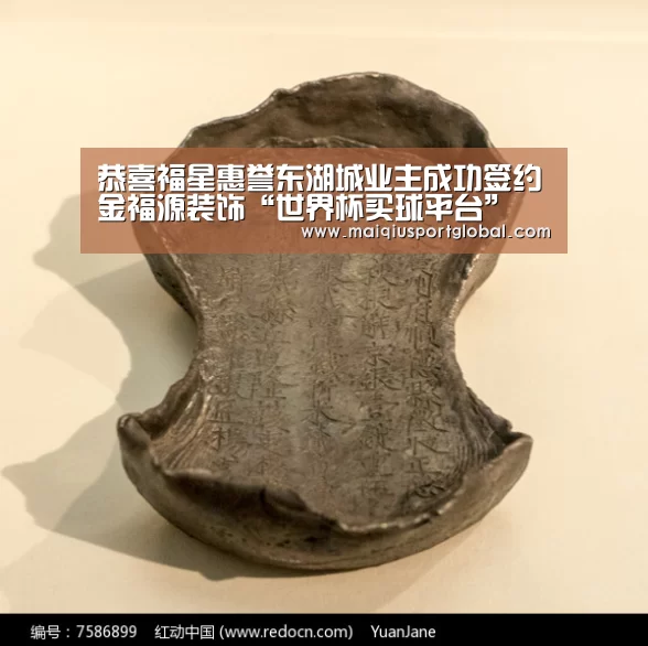 世界杯买球网站